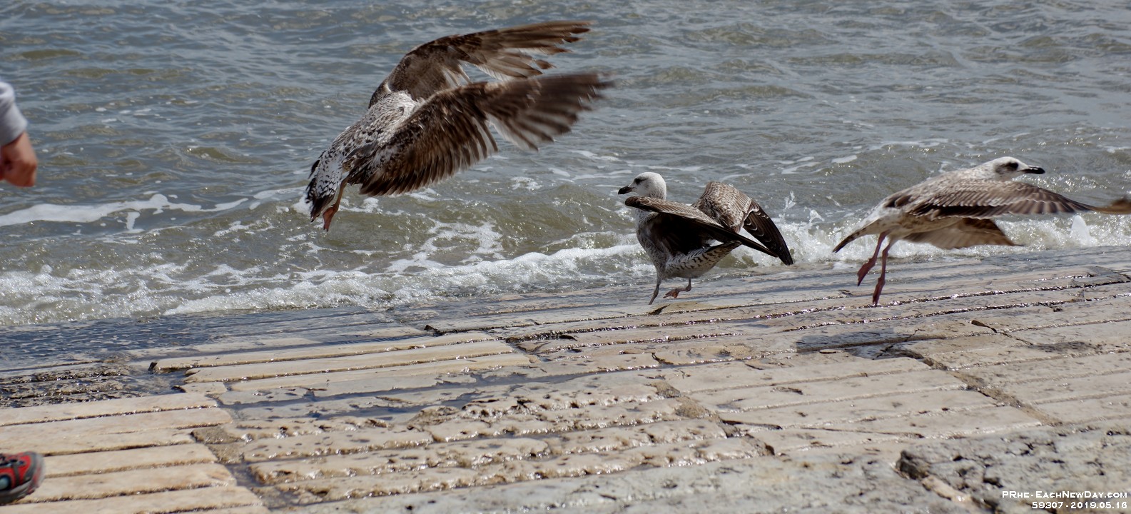 59307CrLe - We walk to the Tagus River - Lisbon, Portugal